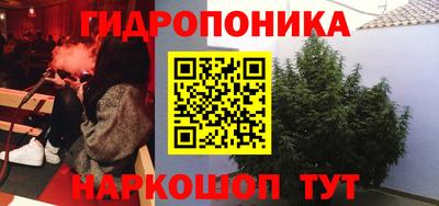 гидропоника Пугачёв