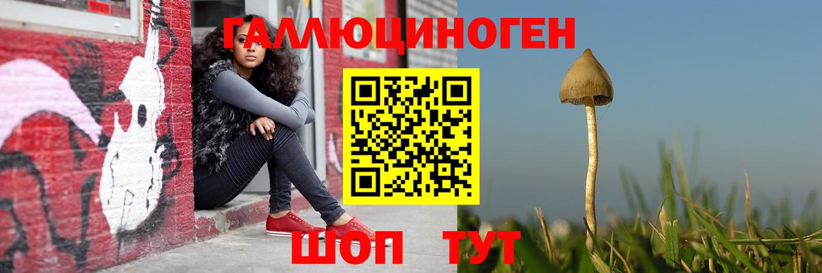 Дербент  Псилоцибиновые грибы MAGIC MUSHROOMS  Вход с VPN 