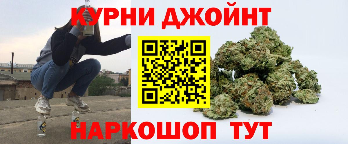 Конопля сатива Дербент
